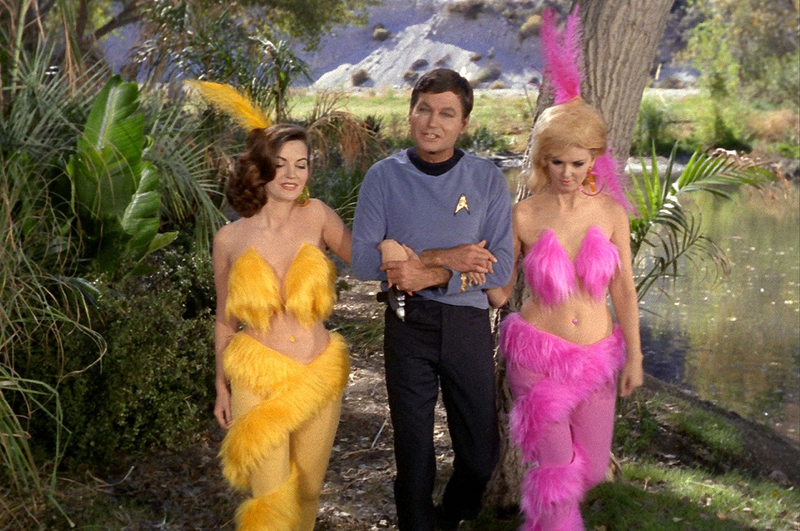 Illustration for article titled 8 Ways That Judges Have Cited Star Trek From the Bench